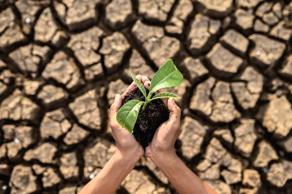 Fenómenos climáticos extremos que afectan las operaciones marítimas